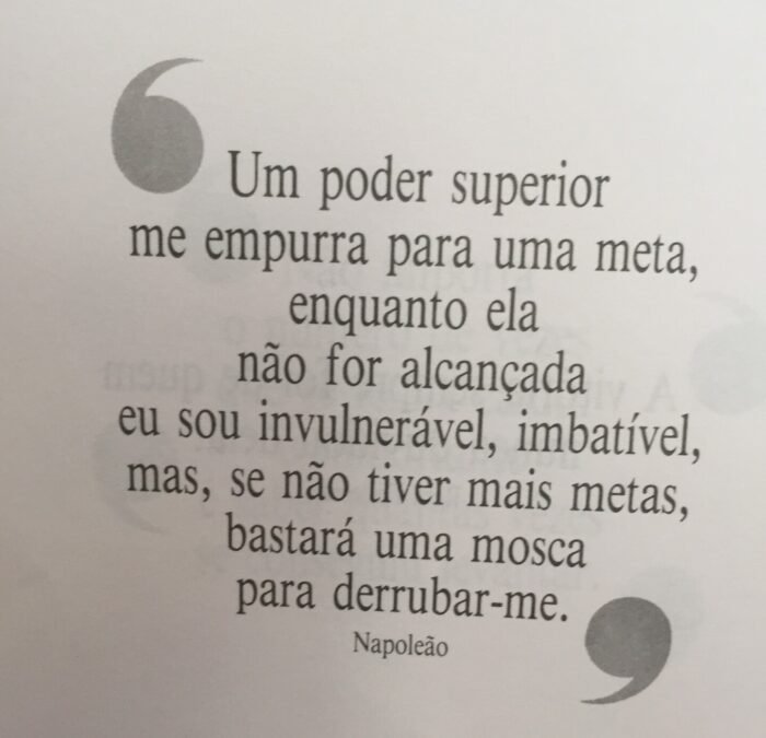 Um poder superior me empurra para uma meta, enquanto ela não for alcançada eu sou invulnerável, imbatível, mas, se não tiver mais metas, bastará uma mosca para derrubar-me.  Napoleão