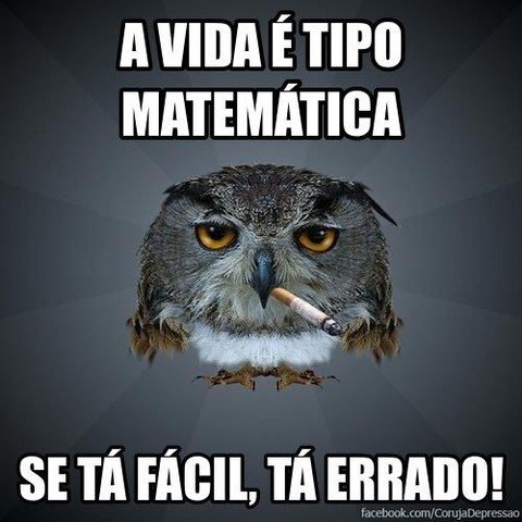 A vida é tipo matemática. Se tá fácil, tá errado!
