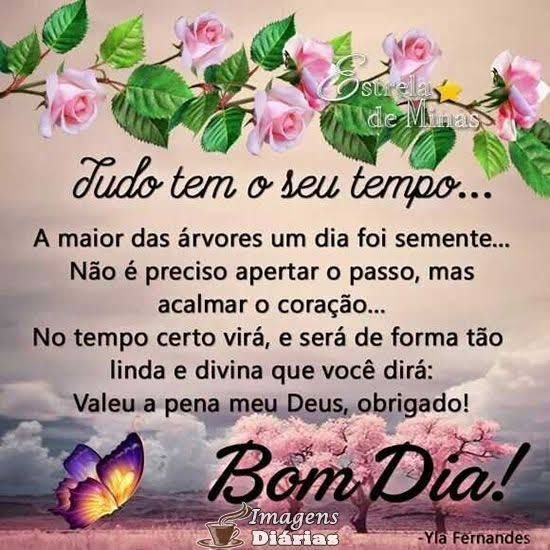 Bom dia. Tudo tem o seu tempo.