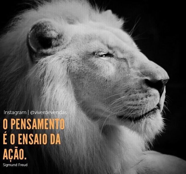 Pense… #Pensenisso #frasedodia #empreendedorismo #foco #empreendertransforma #pensamentos #dicadodia #frases #frasesbonitas #frasesmotivadoras #frasesparapensar #fraseslindas #pensenisto #pensenissohoje #bomdia