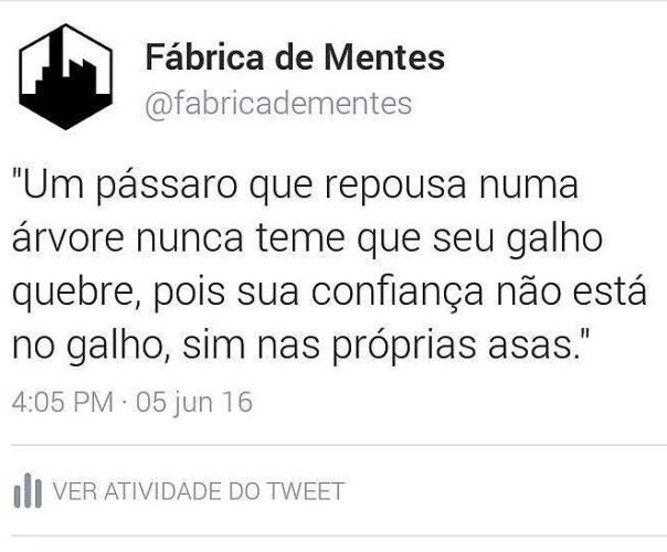Um pássaro que repousa numa árvore Um pássaro que repousa numa árvore nunca teme que seu galho quebre, pois sua confiança não está no galho, mas sim nas próprias asas.