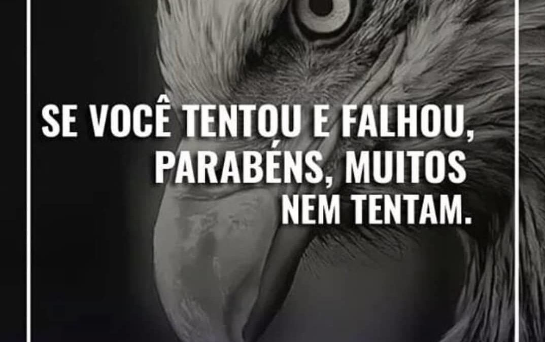 Se você tentou e falhou, parabéns. Muitos nem tentam.