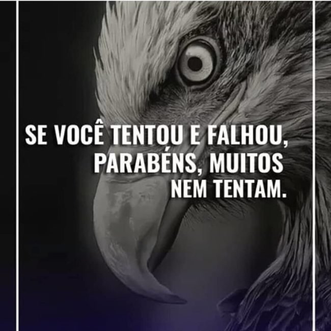 Se você tentou e falhou, parabéns. Muitos nem tentam. Se você tentou e falhou, parabéns. Muitos nem tentam.