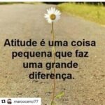 "Atitude é uma coisa pequena que faz um grande diferença" Clarice Lispector