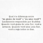 Qual a diferença entre "eu gosto de você" e "eu amo você"? Lindamente respondido por Buddha: Quando você gosta de uma flor, você a arranca. Quando você ama uma flor, você a rega todos os dias.