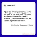 Gostar ou amar - Siddhartha Gautama o Buda